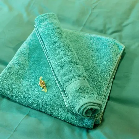 Moderne & Rustikale I Zentral I Geschaeftsreisen I Anbindung *