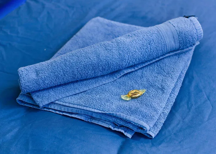 Moderne & Rustikale I Kostenlose Parkplaetze I Zentral I Naehe Koeln Messe Deutz I Anbindung Lejlighed Eitorf